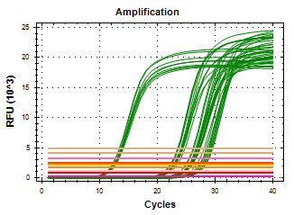 基因表达量检测